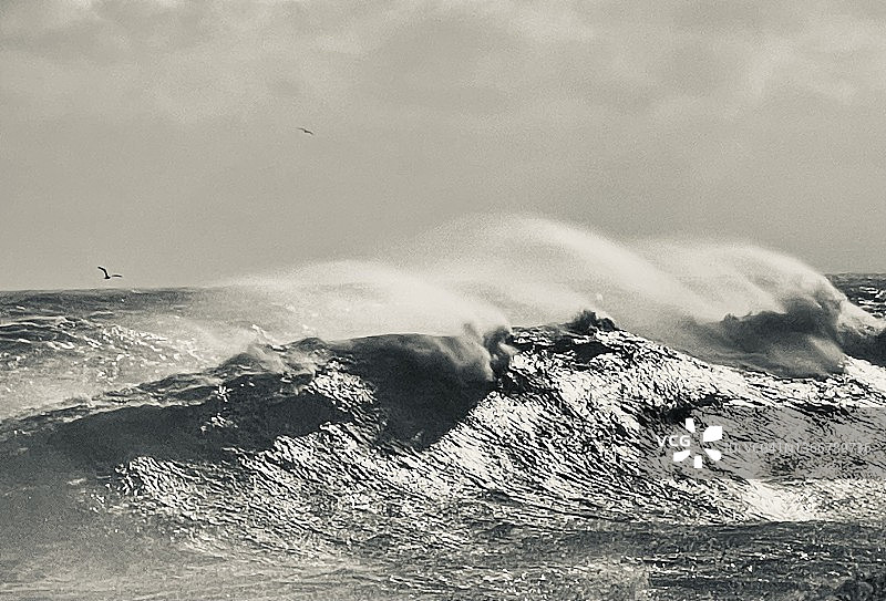 建筑：顶风破浪图片素材