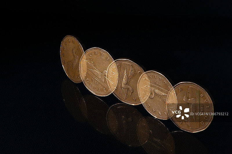 加拿大一元硬币图片素材