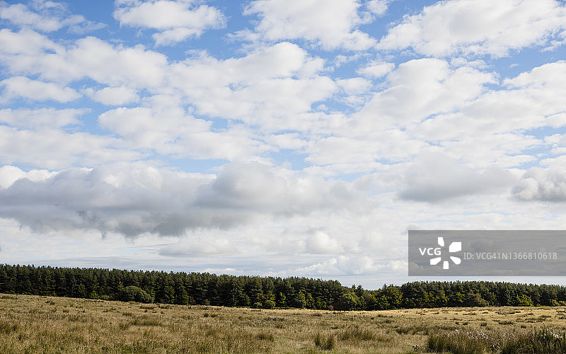 诺森伯兰郡的风景图片素材