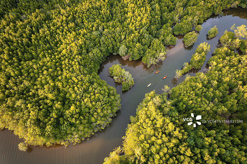 航拍：日落时分，人们在红树林环绕的运河中划皮划艇图片素材