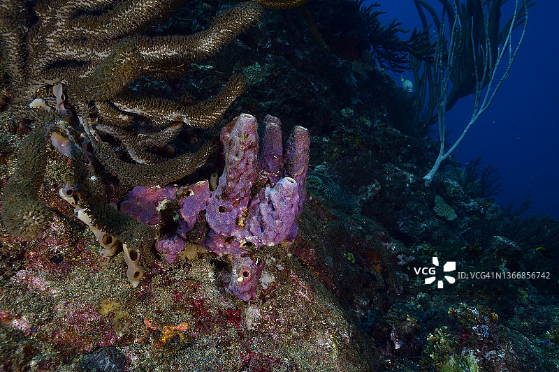 海绵管图片素材