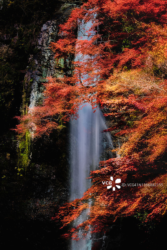 自然瀑布图片素材