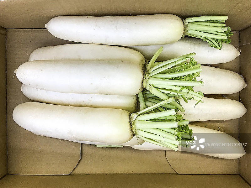 白萝卜图片素材