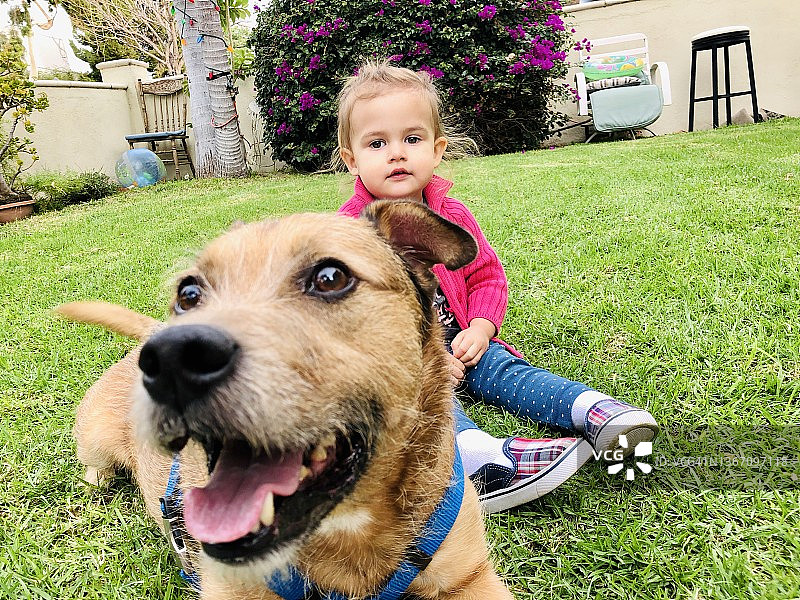 女孩和她的狗图片素材