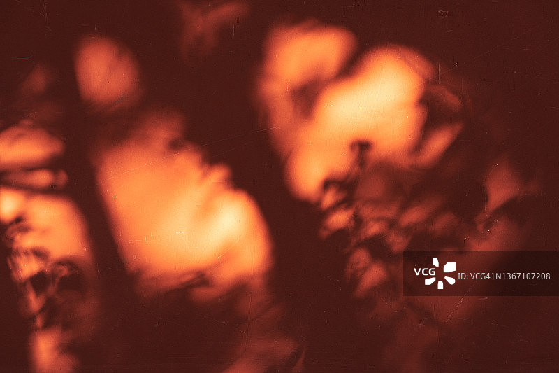 中国北京大觉寺图片素材