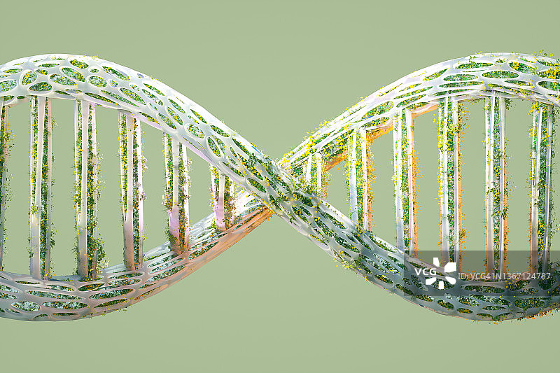 绿色DNA图片素材