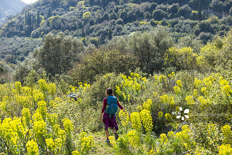 伯罗奔尼撒的春天鲜花图片素材