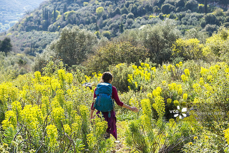伯罗奔尼撒的春天鲜花图片素材
