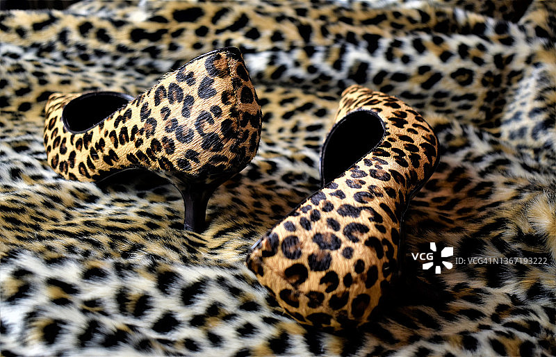 狂野之夜图片素材