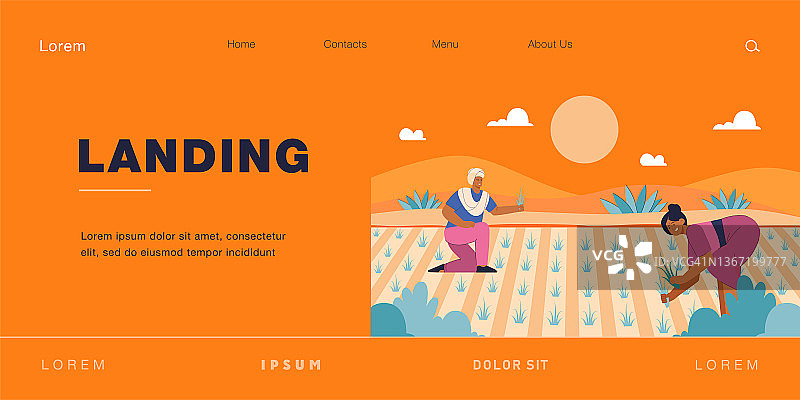 印度卡通农民在稻田里收割庄稼图片素材