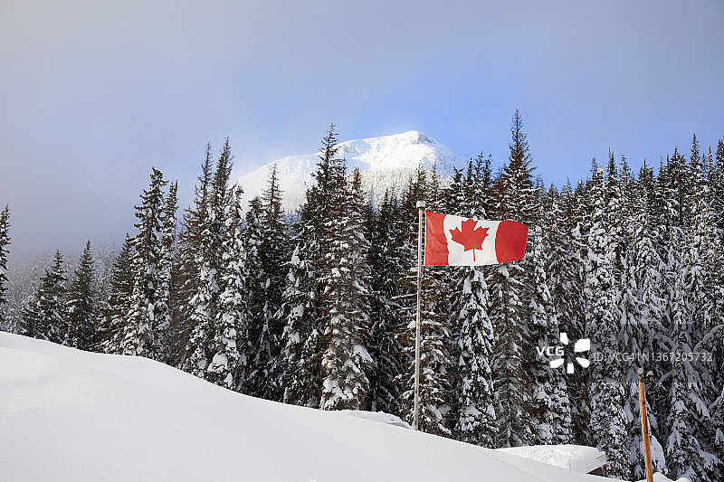 在雪地森林地区飘扬的加拿大国旗图片素材