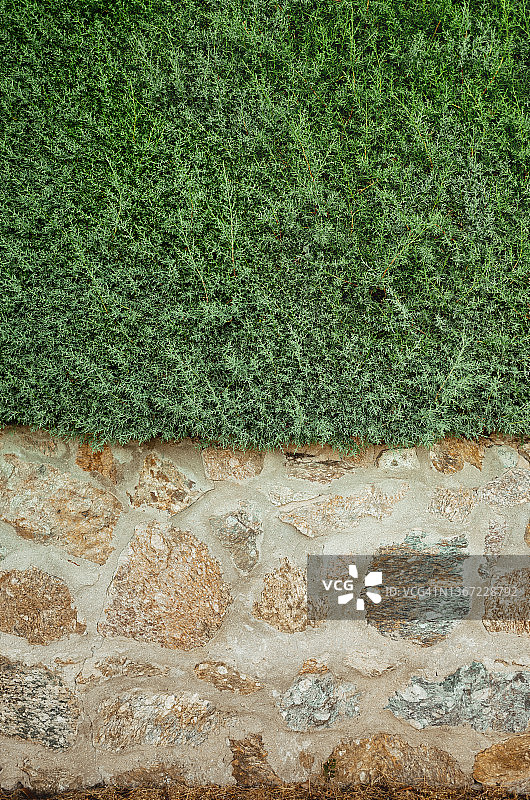 覆盖着亚利桑那柏树的石墙正面图图片素材