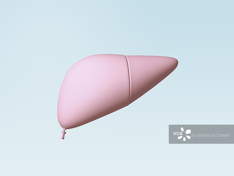 漂浮在空中的气球器官（肝脏）图片素材