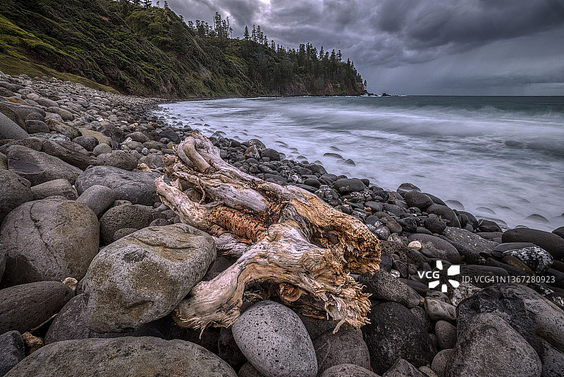 诺福克岛上的浮木图片素材