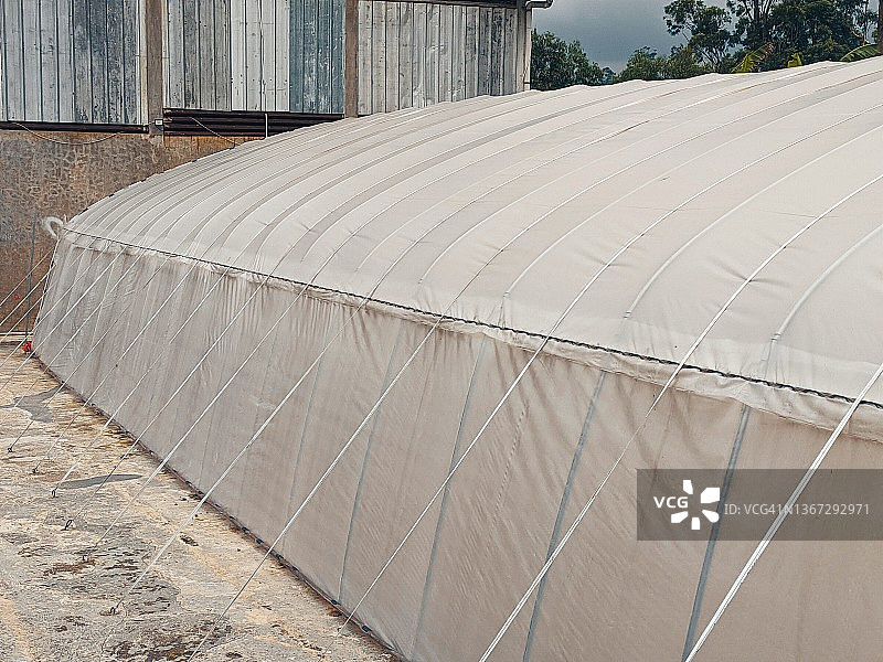 绿色的房子图片素材