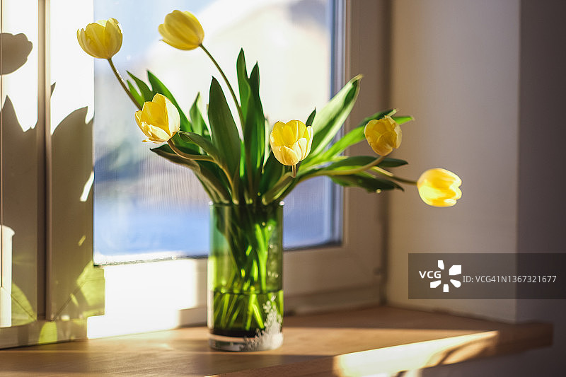 窗台上花瓶里的黄色郁金香花束，特写图片素材