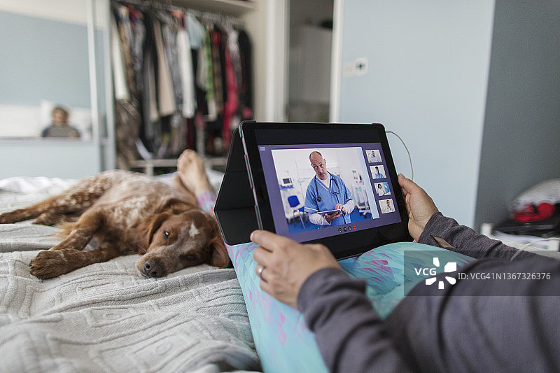 女人在床上用平板电脑与医生视频聊天，小狗陪伴图片素材