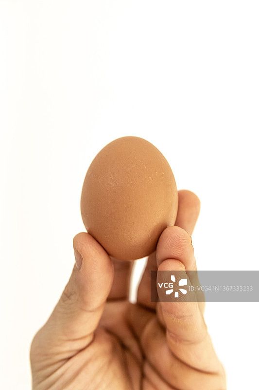 手 holding 鸡蛋图片素材