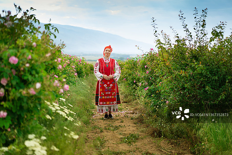 中年微笑妇女穿着保加利亚传统服装走在盛开的玫瑰花丛中图片素材