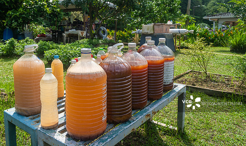 厨余垃圾制成的液体堆肥图片素材