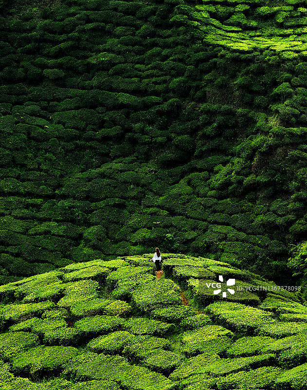 马来西亚图片素材