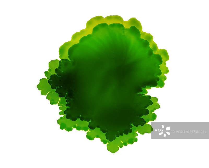 绿色油漆滴在白色画布上图片素材