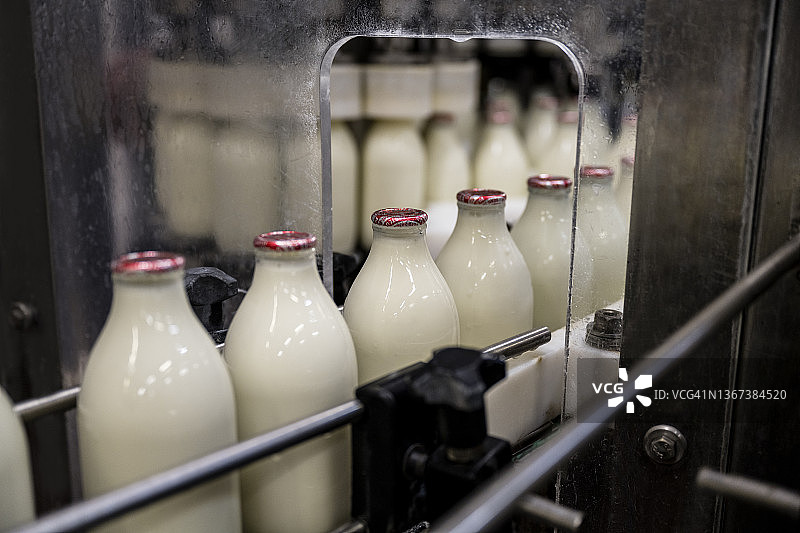 工厂传送带上移动的牛奶瓶特写图片素材