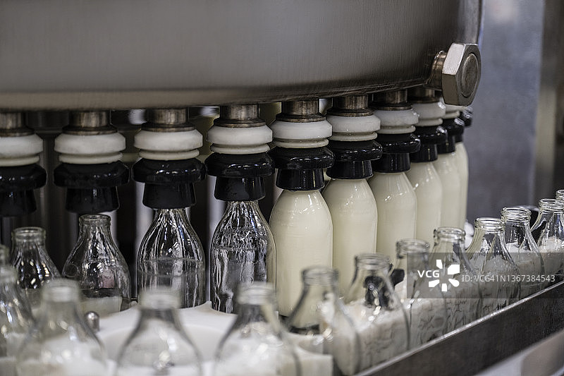 生产线上正在灌装牛奶的空瓶子图片素材