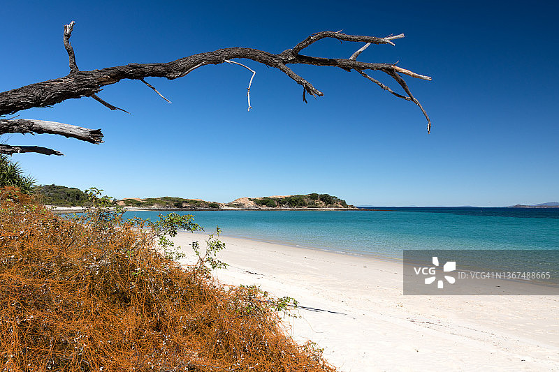 猴子海滩，大凯珀尔岛，澳大利亚昆士兰州图片素材