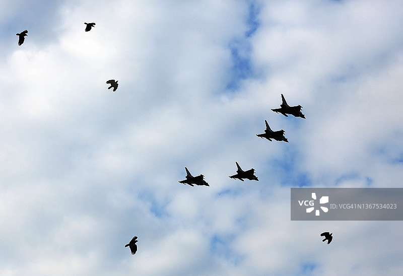 四架军用战斗机与鸟群图片素材