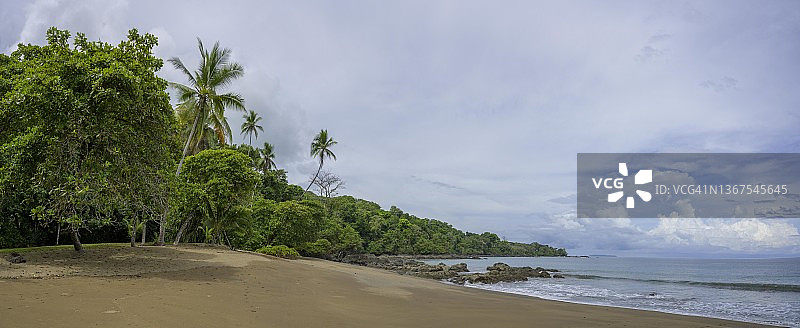 科卡利托海滩，德雷克湾，蓬塔雷纳斯省，哥斯达黎加图片素材