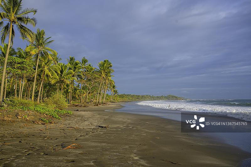 哥斯达黎加瓜纳卡斯特省圣克鲁斯洪基亚尔附近的棕榈树和海浪沙滩图片素材
