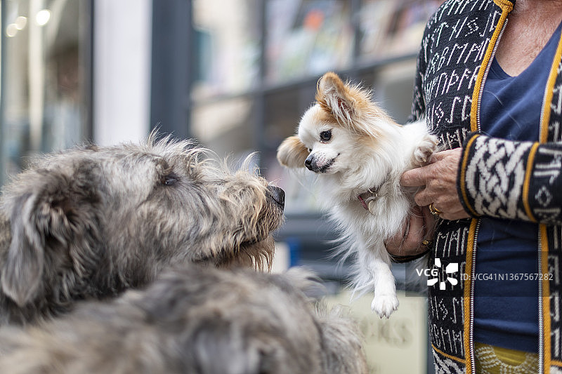 小和大图片素材