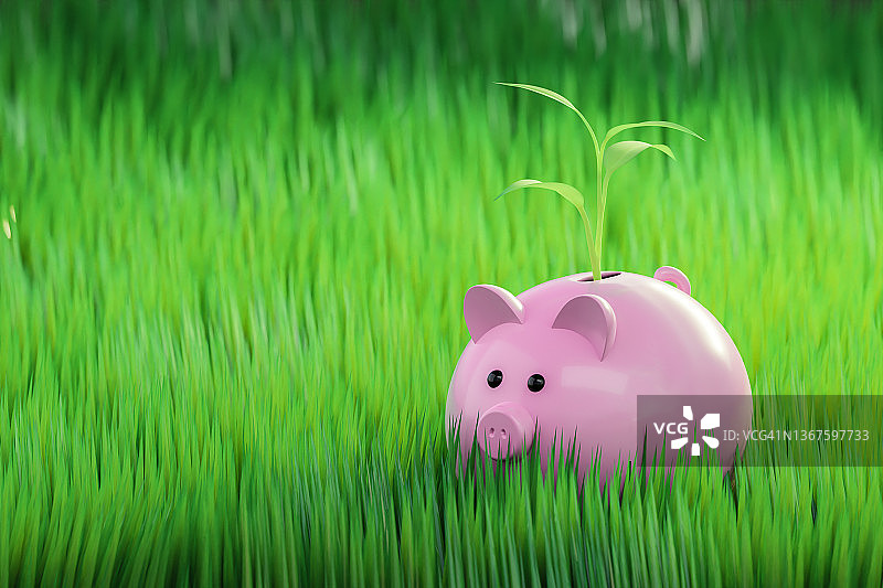 绿色投资储蓄罐图片素材