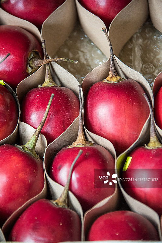 市场售卖的树番茄图片素材