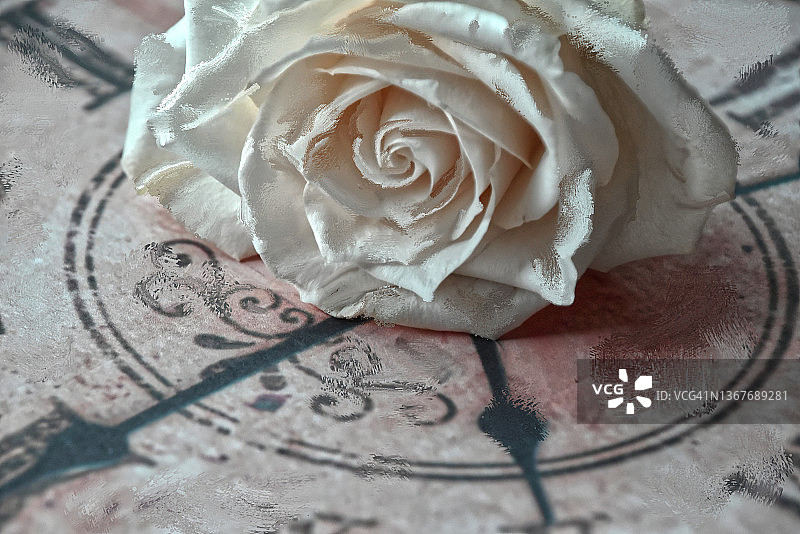 为我画一朵玫瑰图片素材