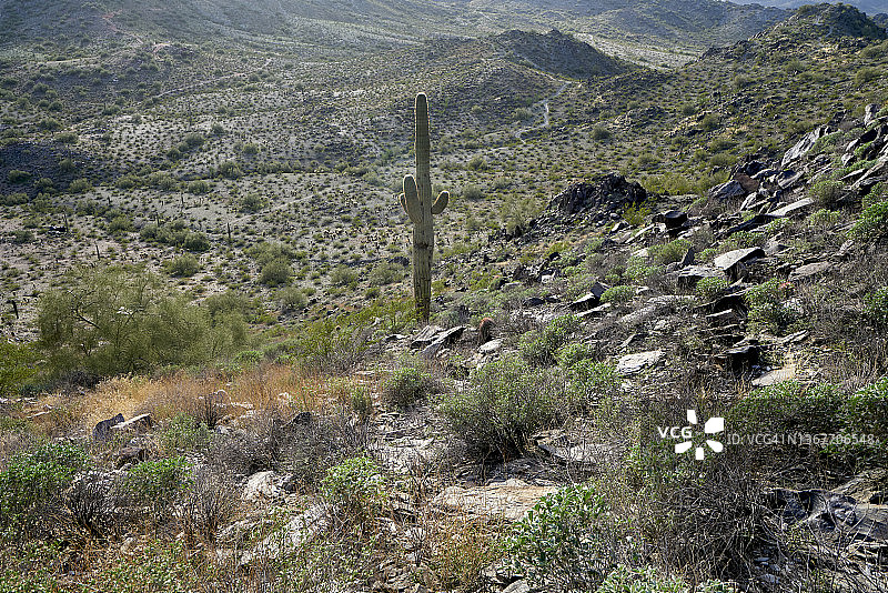菲尼克斯山保护区梦幻小道图片素材