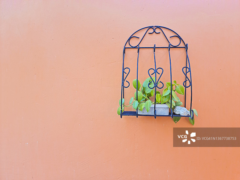窗户形状的金属花盆，橙色墙壁上有一株植物图片素材
