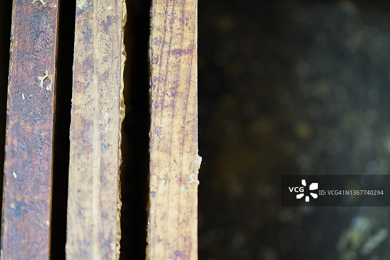 三根被时间腐蚀的木材特写，背景虚化图片素材