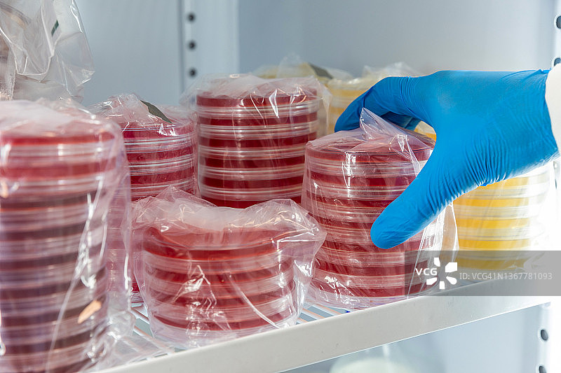 堆叠的培养皿图片素材