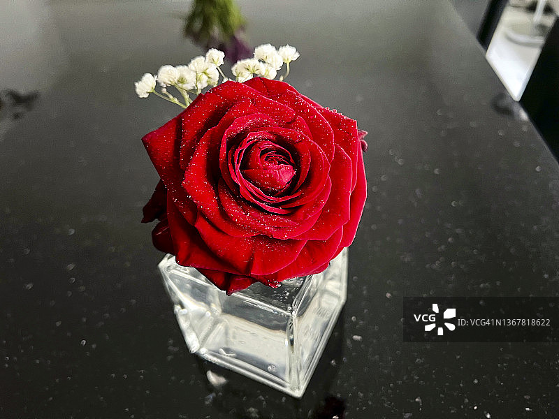 花瓶中带水滴的红色玫瑰特写图片素材
