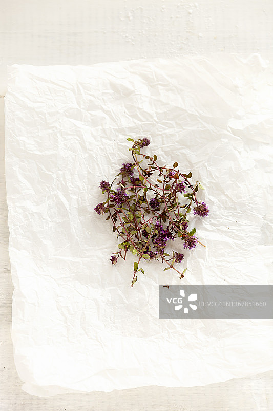 百里香草药茶图片素材