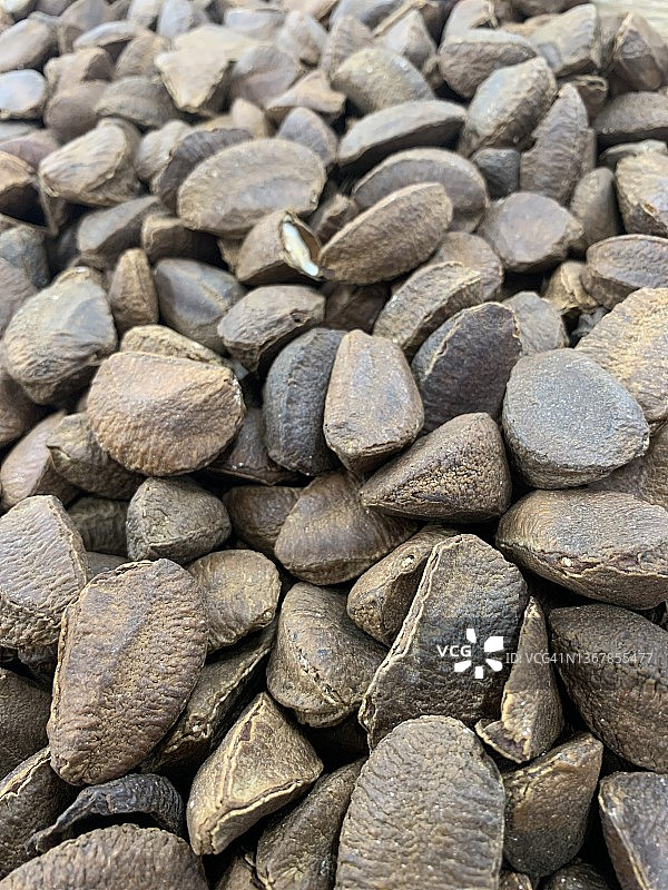 巴西坚果图片素材