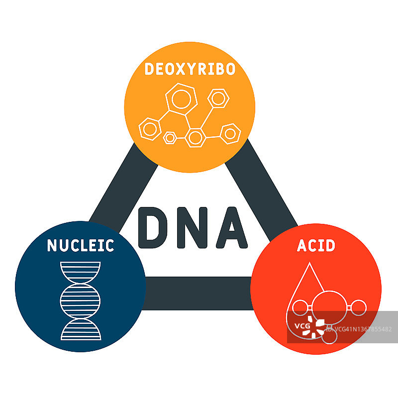 DNA脱氧核糖核酸缩写图片素材