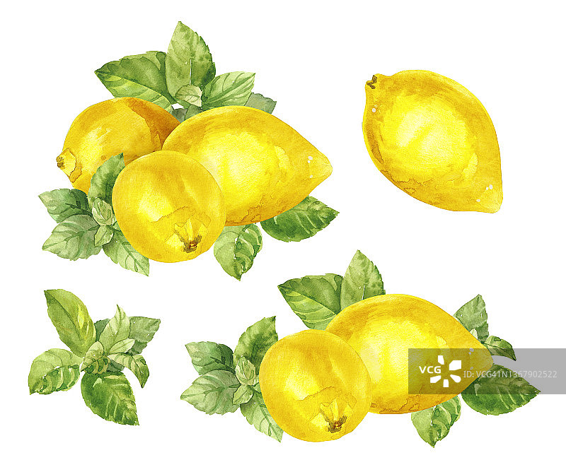 水彩手绘薄荷枝叶和柠檬图片素材