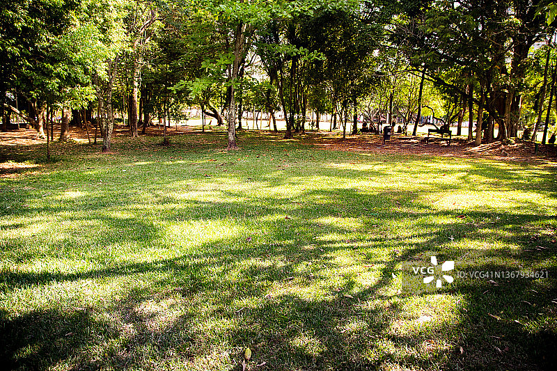 背景中的绿色草地和树木图片素材