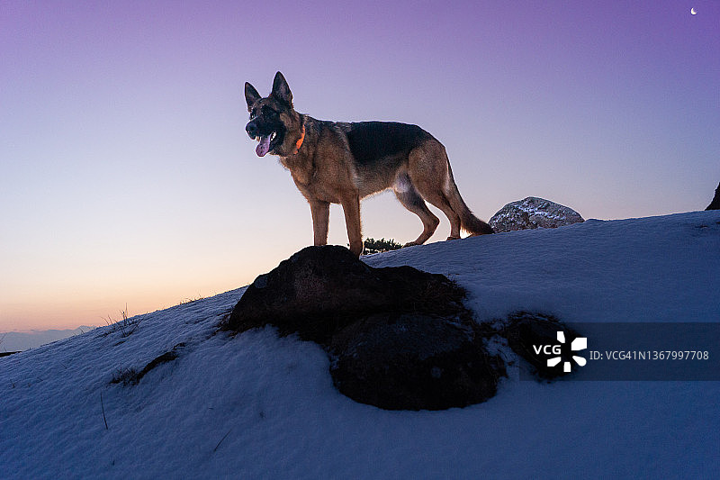 夏尔巴人的早晨图片素材