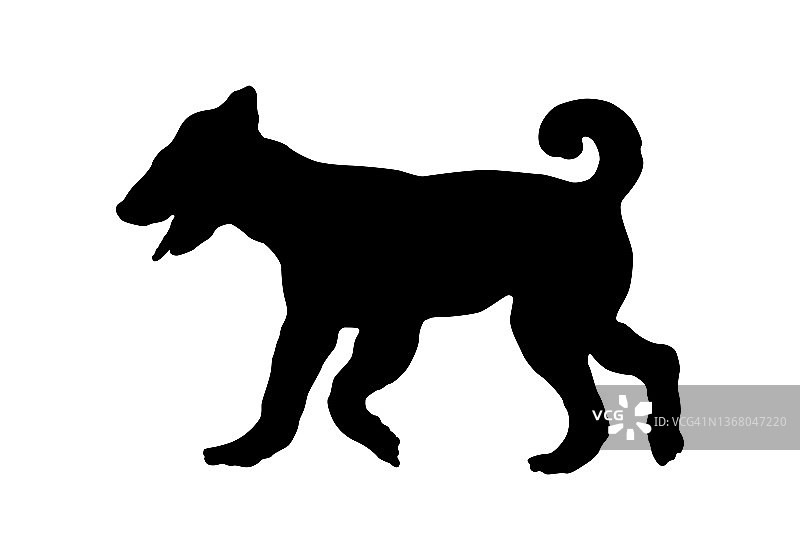 黑色狗剪影：奔跑的万能梗幼犬，宾利梗犬或滨水梗犬，宠物，隔离在白色背景上图片素材