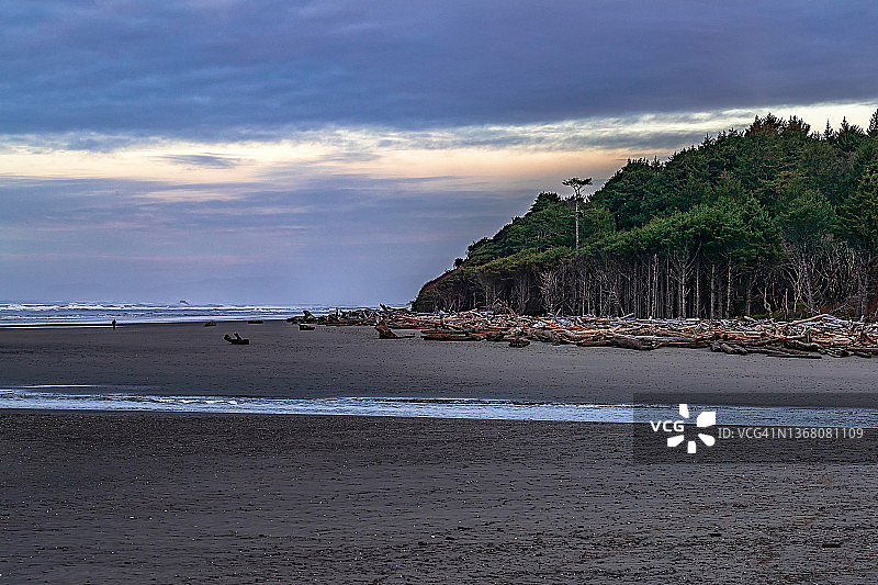 Kalaloch海滩的清晨图片素材