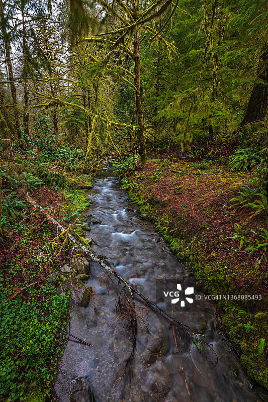 七月小溪图片素材